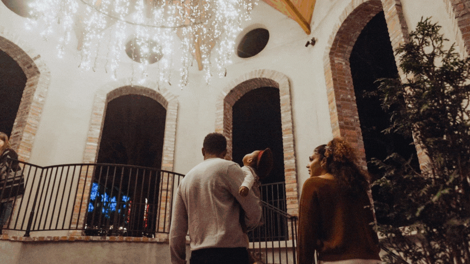 Images showing families walking the Cheekwood Gardens, making s'mores by a fire, and photos of trees with colorful lights on them.