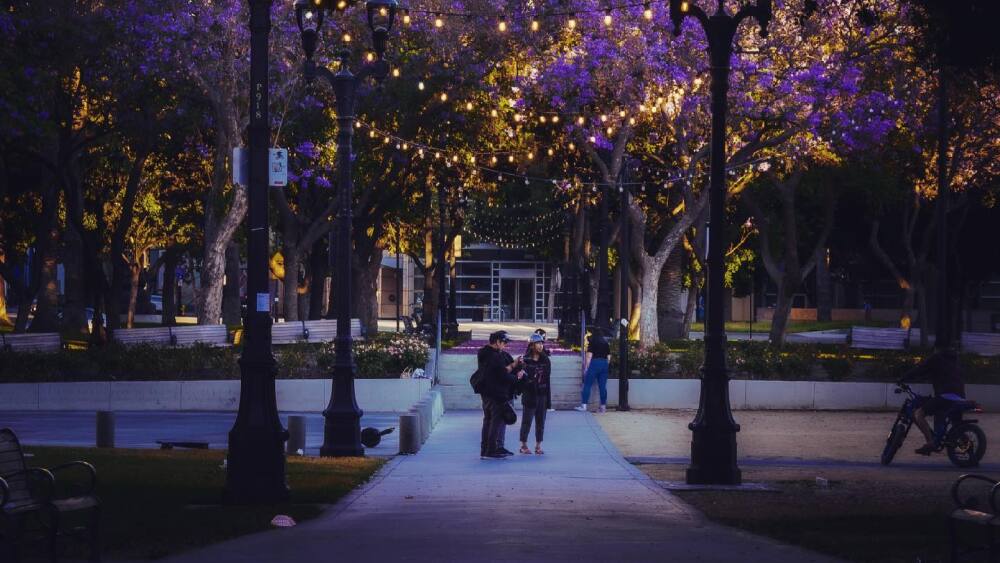 Plaza de Cesar Chavez with purple blooms and string lights decorating the plaza. 