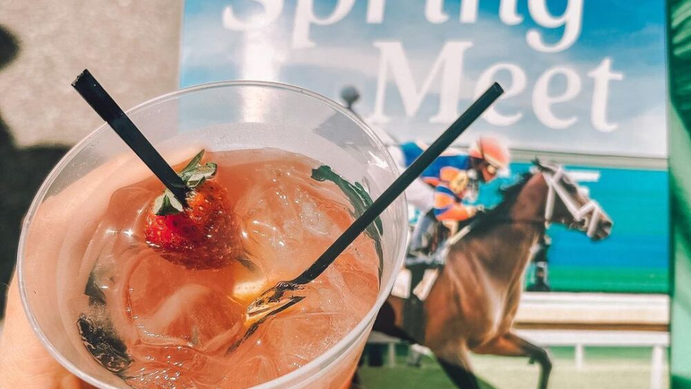 A person holding a pink drink, with a booklet that says "2023 Spring Meet"