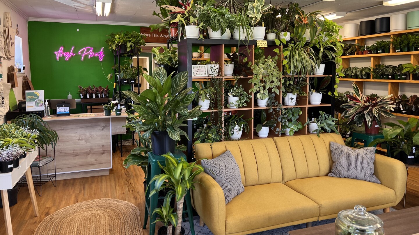 Raleigh's first Downtown Plant Week RALtoday