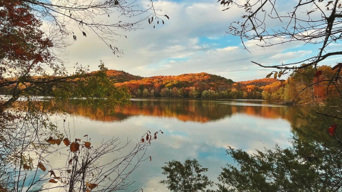 A fall view of the water surrounded by trees at Radnor Lake State Natural Area.
