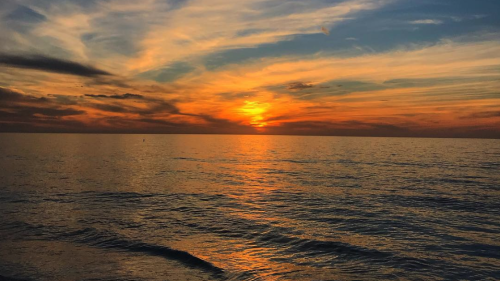 Screen Shot 2019-02-21 at 3.08.40 PM