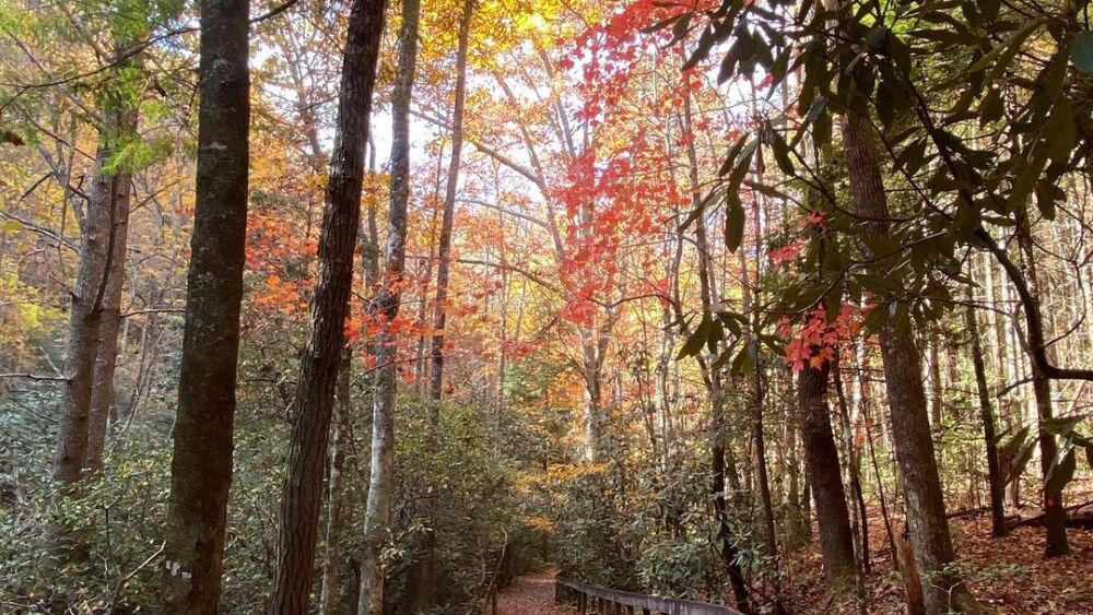 AVLtoday_South_Mountains_State_Park
