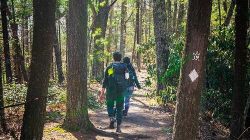 Two people hike along one of the Red River Gorge's many trails.