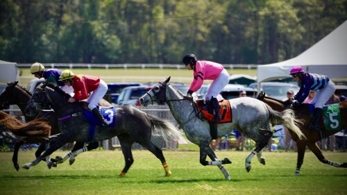 CLTtoday_Carolina Cup_March 2025