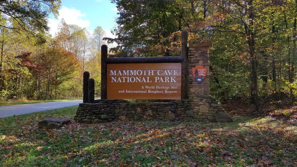 Brown entrance sign surrounded by trees reading "Mammoth Cave National Park" in white letters.