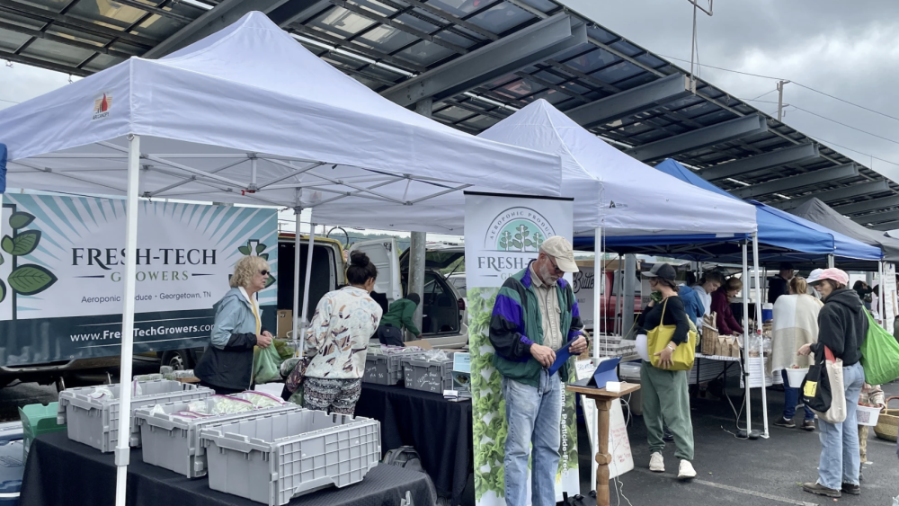 The booths at Main St. Farmers Market.