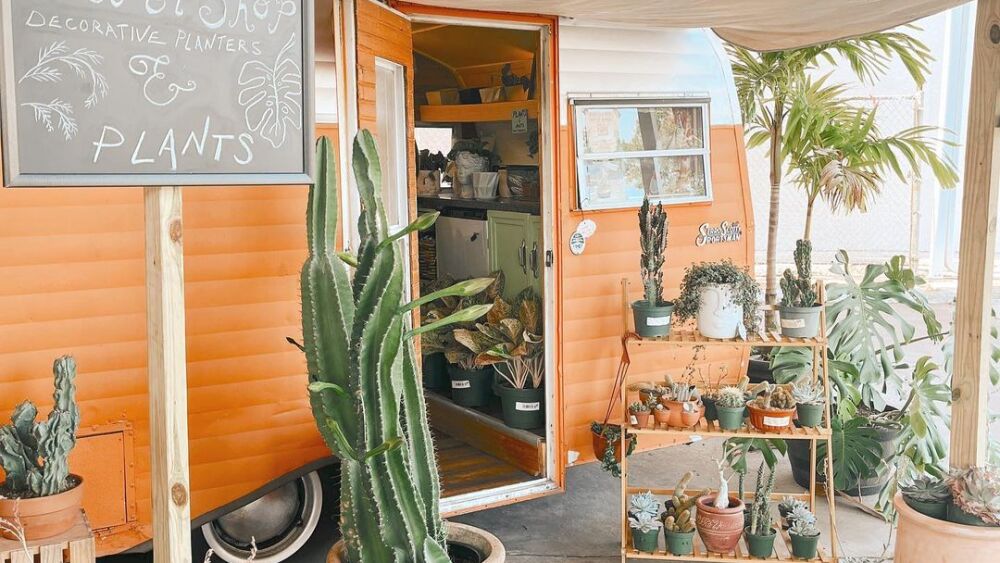 A small orange camper filled with plants, with succulents outside