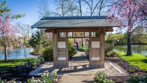 Carmel Cherry Blossom Festival