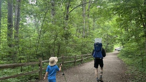 INDYtoday: INDY_hiking Turkey Run trail_AUG24