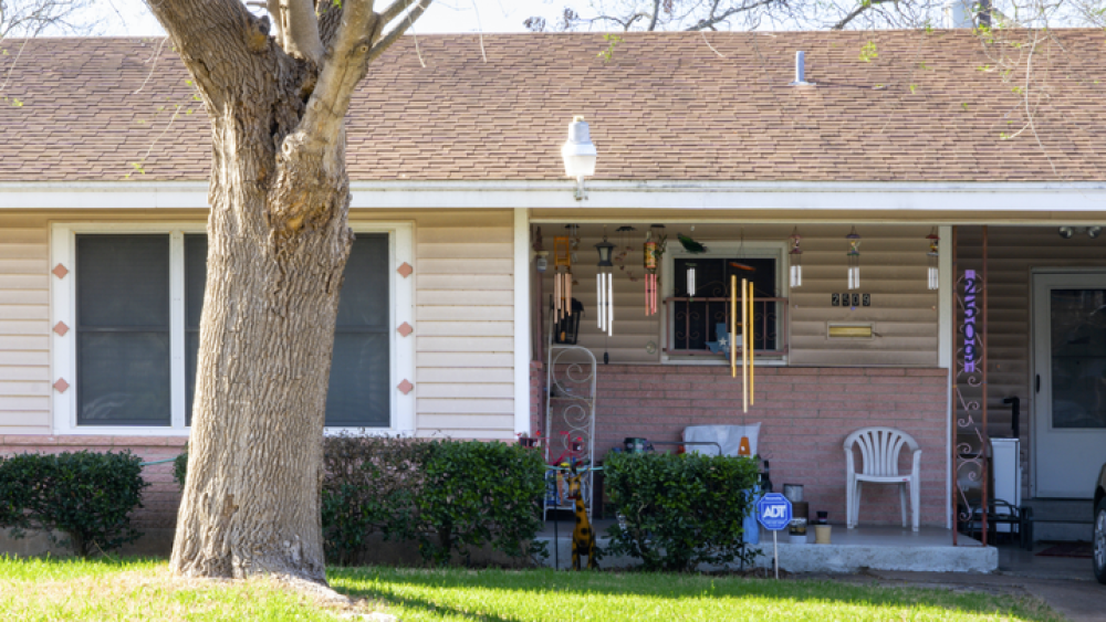 A tree in front of the porch at the Scales house, which is decorated with lots of wind chimes.