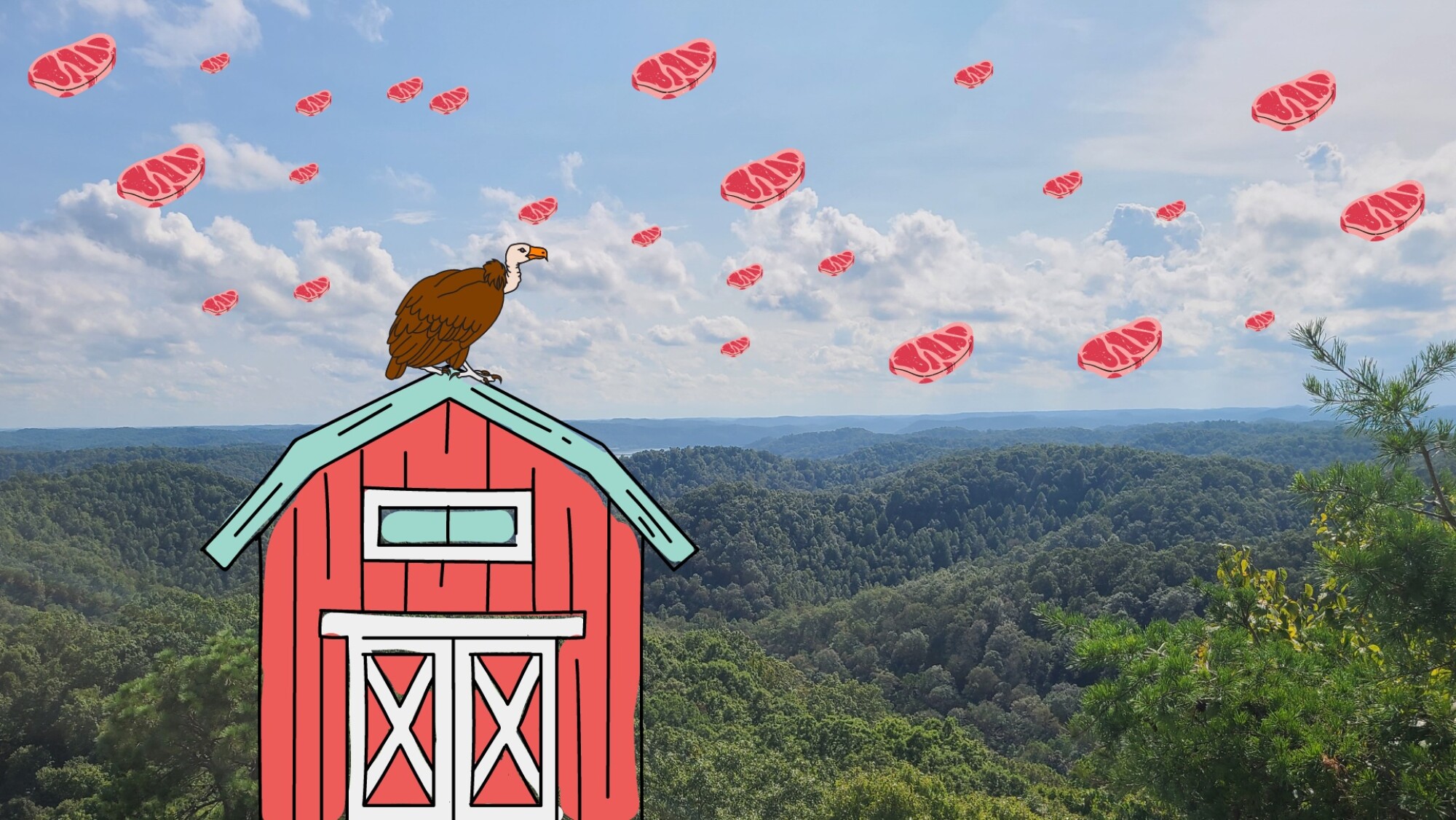 The Kentucky Meat Shower LEXtoday