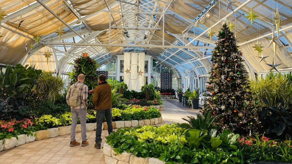 CBUStoday conservatory wintertime