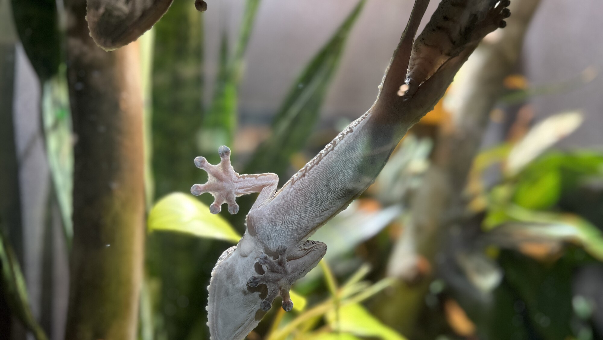 Free Fridays are back at Riverbanks Zoo and Gardens COLAtoday