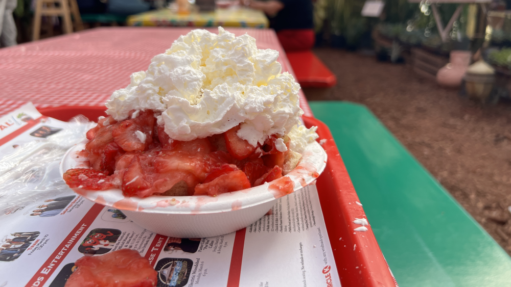 A strawberry shortcake topped with whipped cream sits on a picnic table at Parkesdale Market. The market is filled with other picnic tables and plants for sale.