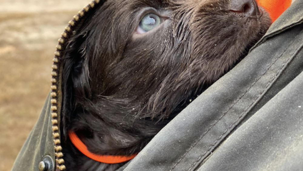 Screen Shot 2021-01-22 at 3.19.08 PM