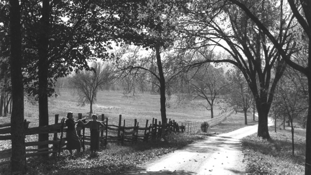 Two women stand leaning up against a fence, which lines a dirt road surrounded by Autumn trees.