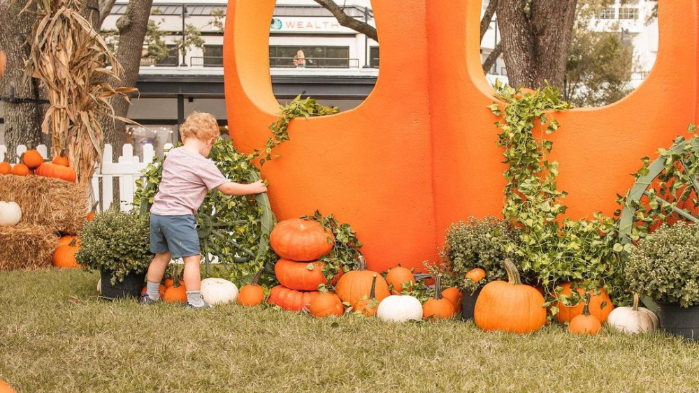 Kid plays with pumpkins at Hyde Park pumpkin patch.