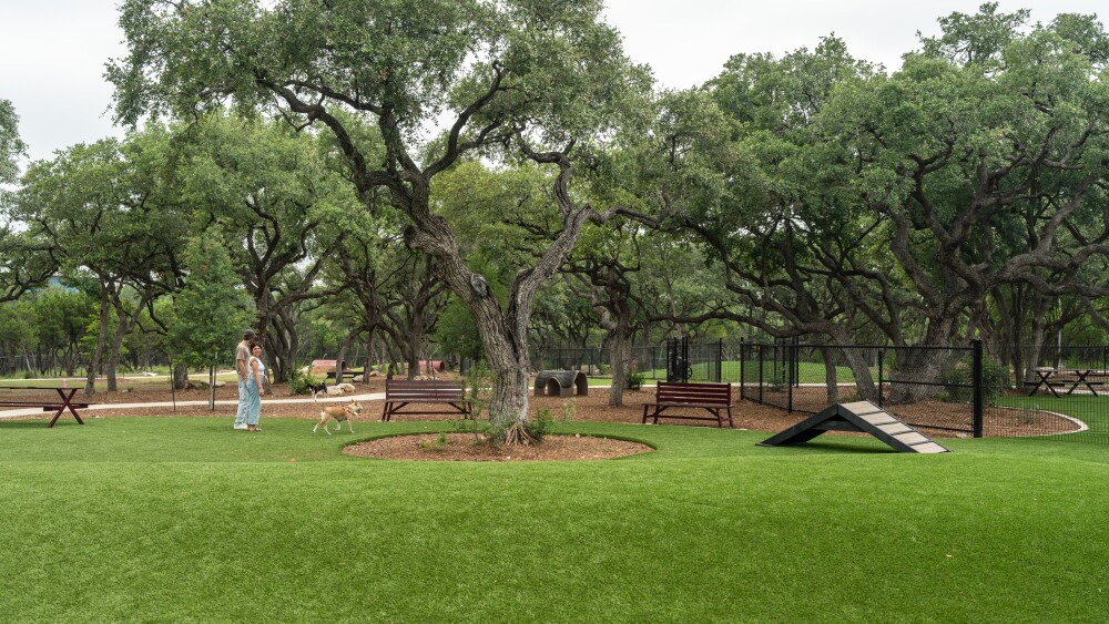 A park with a tree in the center of it. Two people and a dog stand off to the side of agility equipment.