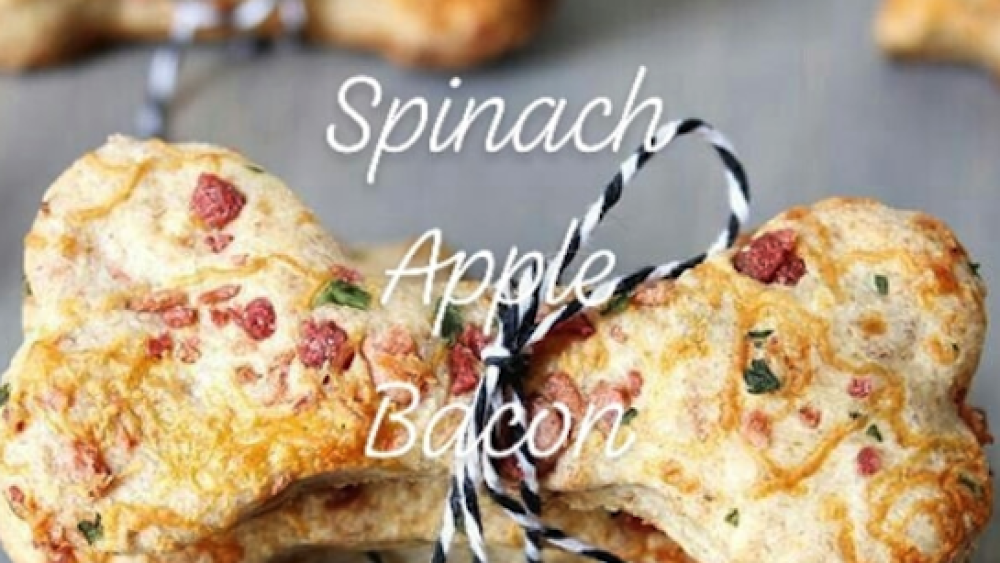 Spinach apple bacon dog biscuits | Photo by Puppylicious Gourmet Dog Biscuits