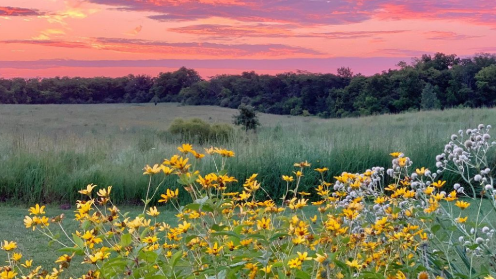 CBUStoday Prairie Oaks Metro Park