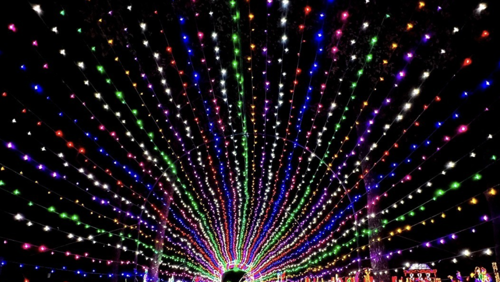 FTW-Gift of Lights-DEC