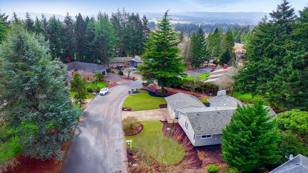 An aerial view of a neighborhood street where spaced out houses with manicured yards are surrounded by tall evergreen trees.