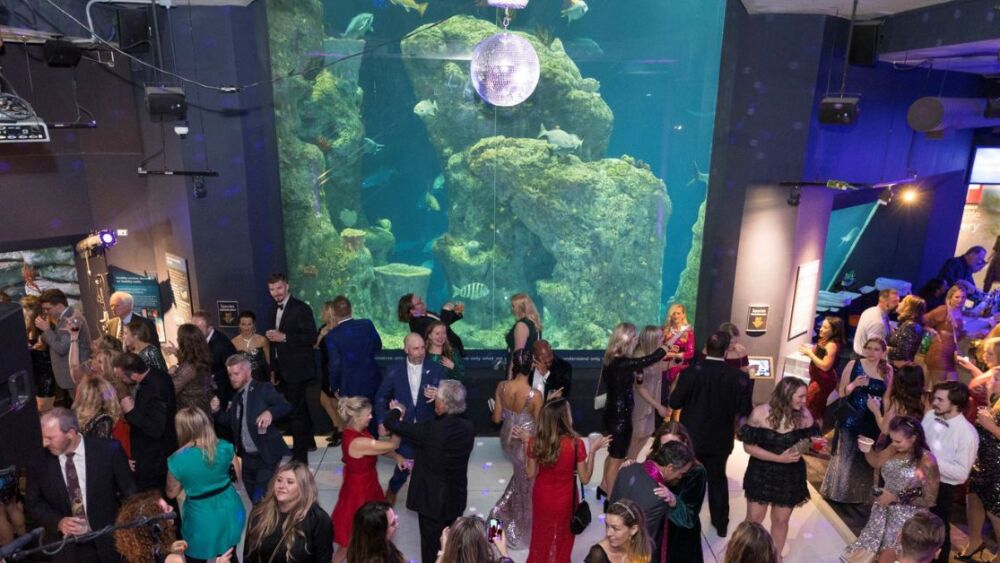 Announced SC Aquarium’s annual Sea Life by Starlight CHStoday