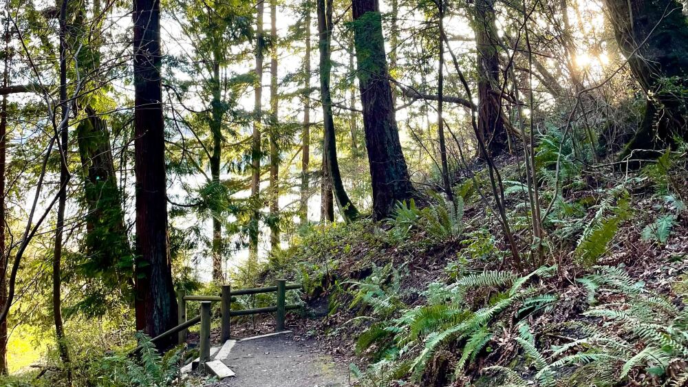 25 parks in Seattle, Washington - SEAtoday