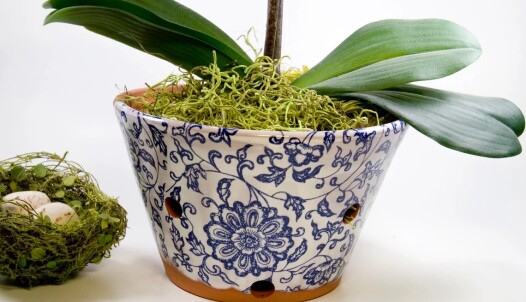 A terra cotta pot with a plant and decor.