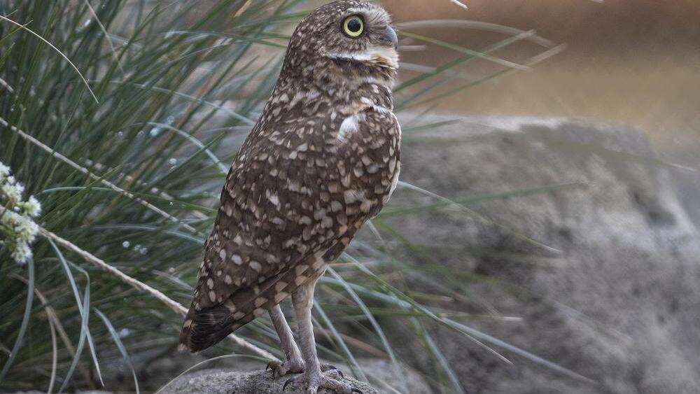 Wildlife Explorers Basecamp at the San Diego Zoo