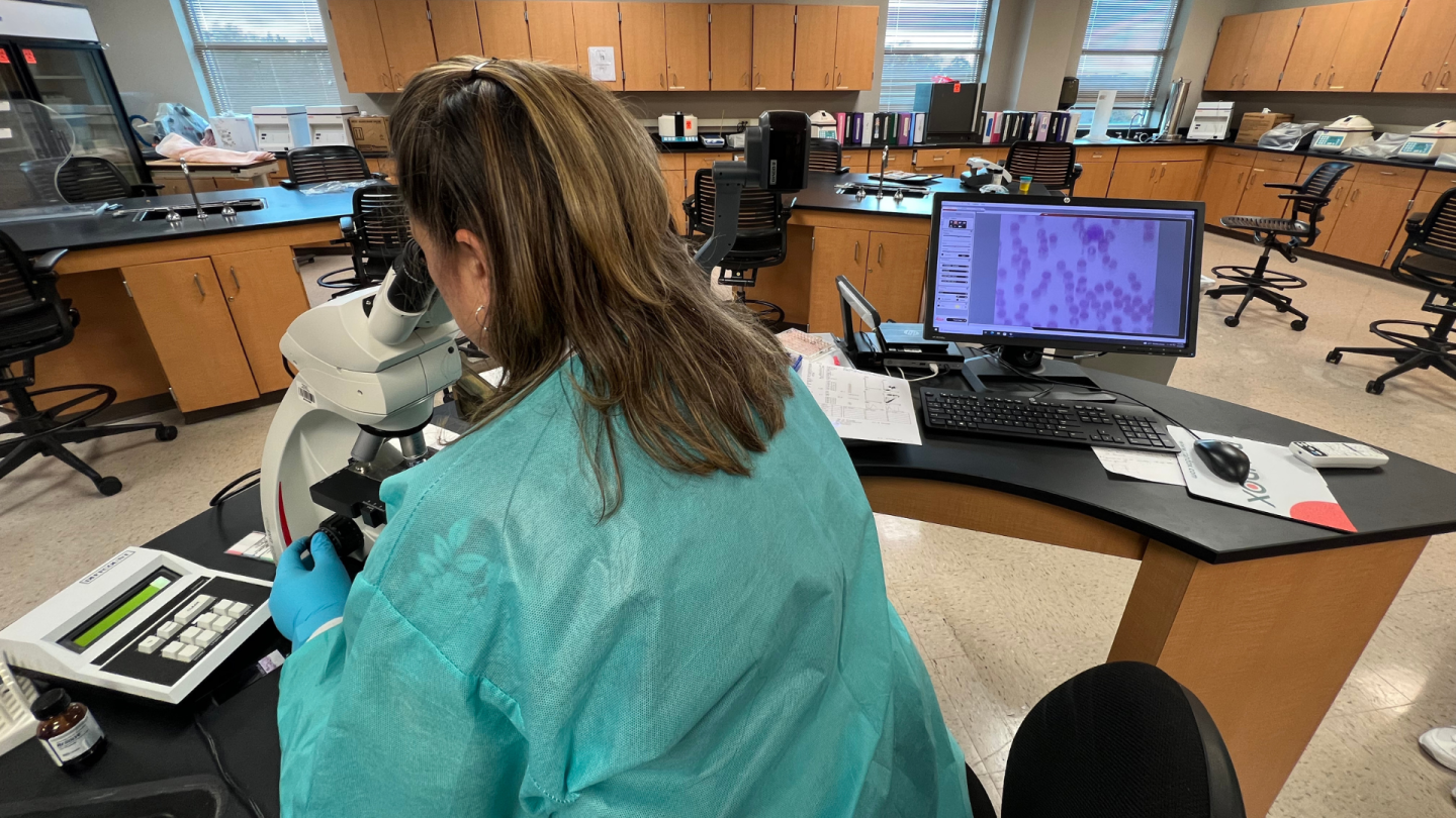 Try This: Peek behind the scenes of the Medical Lab Technician program ...