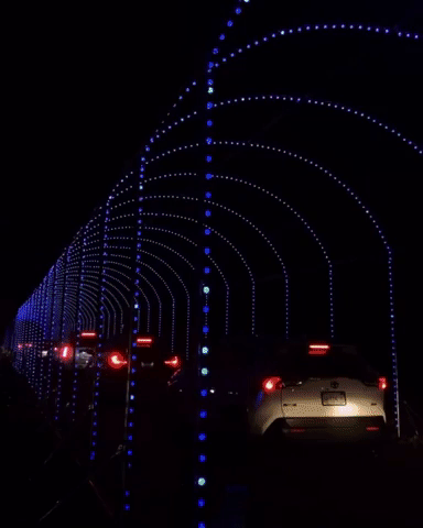 A gif of holiday lights in Blinky's Holiday Light Drive-Thru.