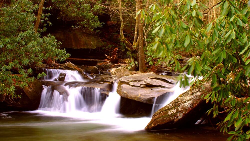 A rushing river over a tiny waterfall, surrounded by green.