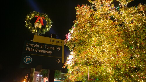 Tree Lighting Vista 1.png