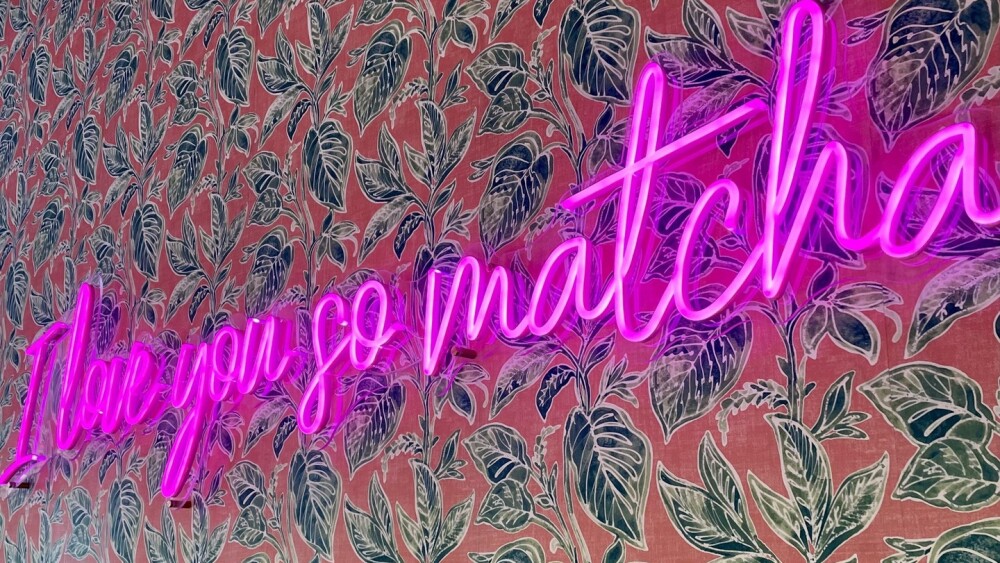 A very bright pink neon sign in Matcha Magic's shop reads "I love you so matcha," and is set against a less pink, floral wallpaper.