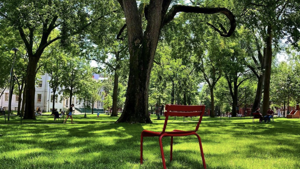 A photo of a lush green lawn and a red bench at Harvard Yard