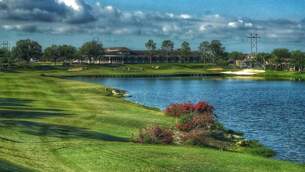 Screen Shot 2018-11-19 at 11.49.56 AM