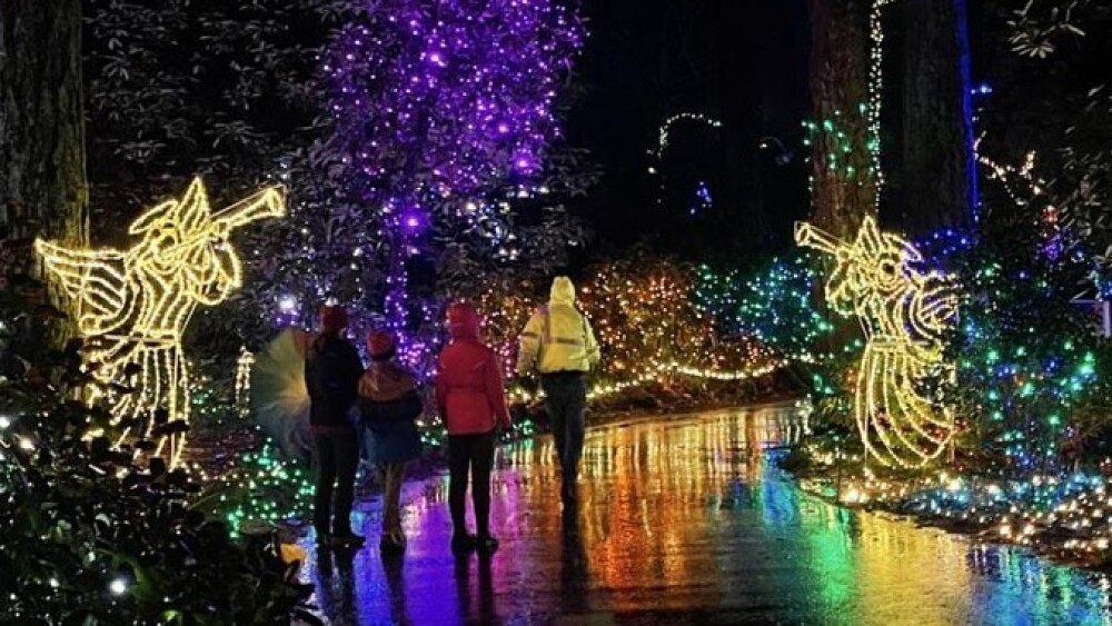 Four people walk along a wet path, gazing at bright holiday light displays at night.