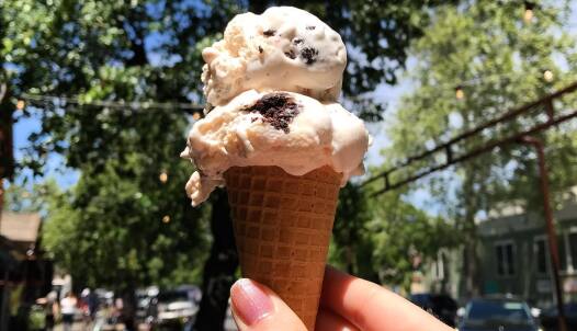 A hand holds up a double scoop of ice cream in front of a tree.