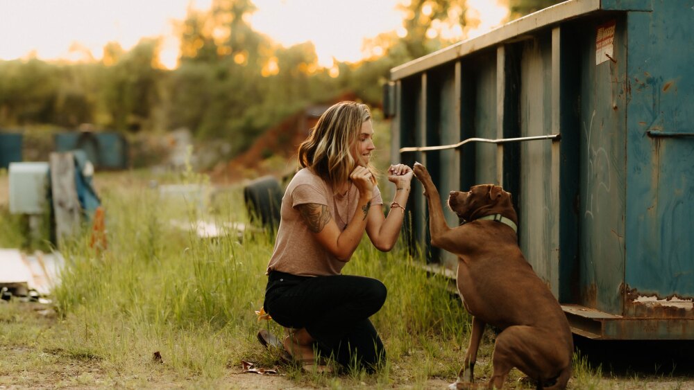 A girl bending down high fiving her brown dog in an industrial yard.