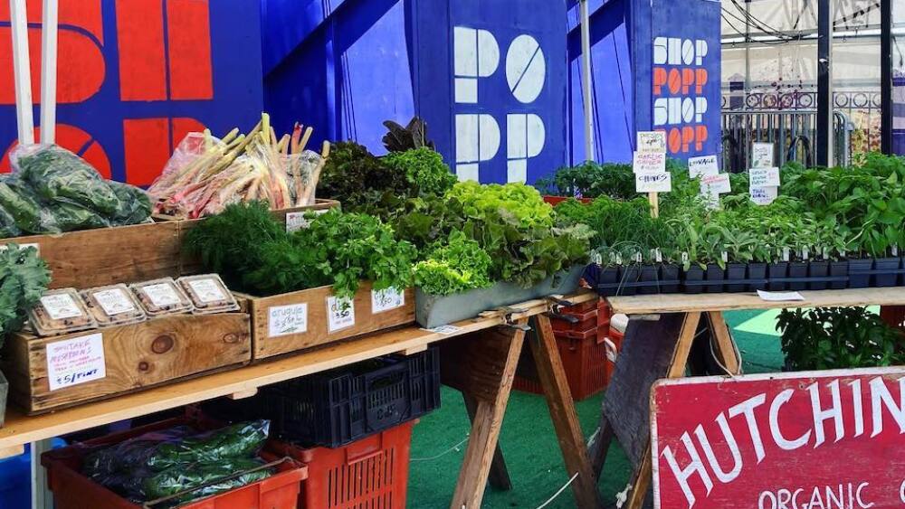 Your Ultimate Guide To Boston BOStoday your-ultimate-guide-to-boston-bostoday