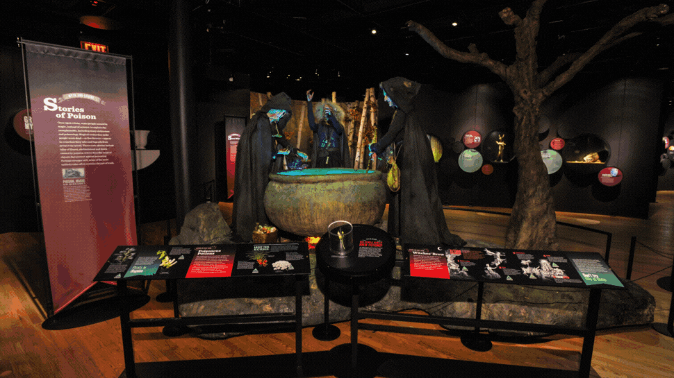 A GIF of the different exhibits at The Power of Poison.
