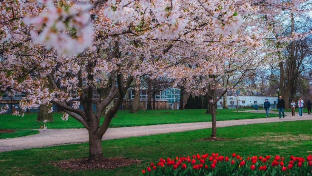 The warmest, coldest, and rainiest springs on record in Columbus ...