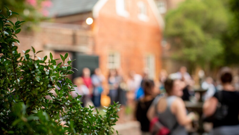 A shrub is in focus in the bottom left corner of the photo. Blurred behind is a crowd of people in a courtyard, standing in front of a brick building.