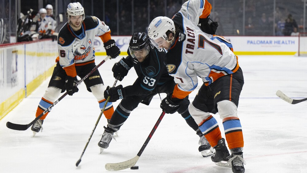 SD San Diego Gulls