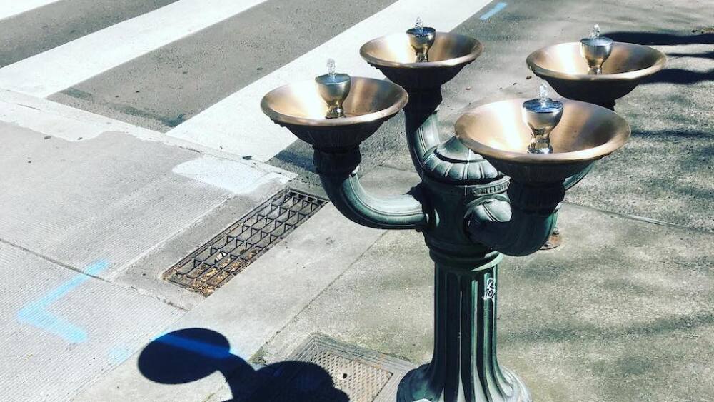 A drinking fountain with four bowls pumps water on a street corner