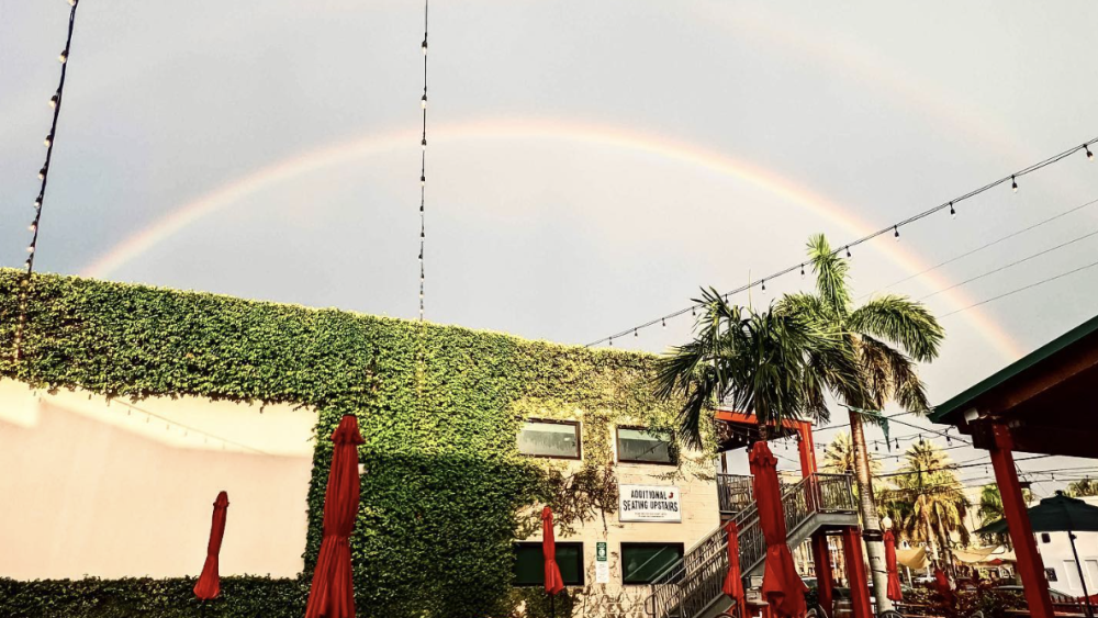 An outdoor area with fake grass, benches, and red umrellas facing an ivory-covered wall with a rainbow in the sky.