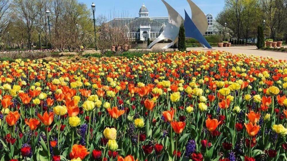 Columbus Blooms | Photo via Franklin Park Conservatory