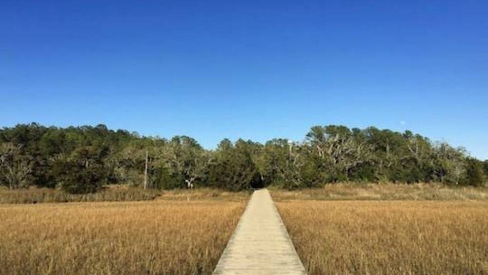 Wooden trail at James Island County Park